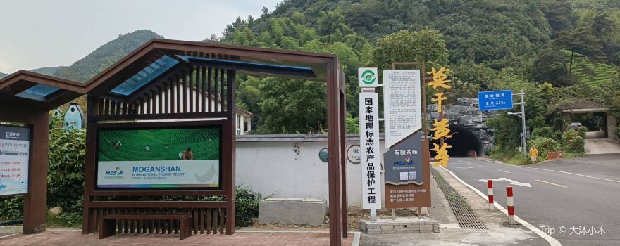 德清縣莫干山鎮石頤茶場