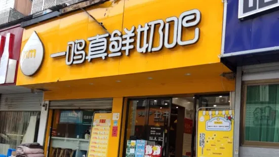 一鳴真鮮奶吧(蒼南舥艚育才店)