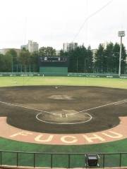Fuchu City Baseball Field