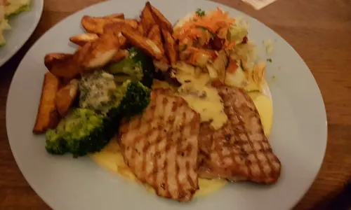 Rotbuche
