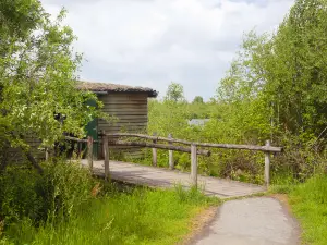 De Groote Peel National Park