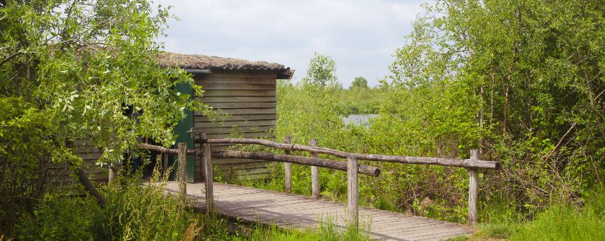 De Groote Peel National Park