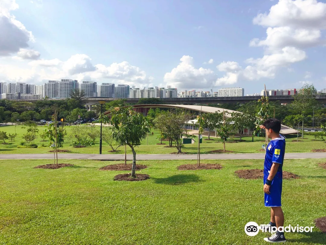 1_Sengkang Riverside Park