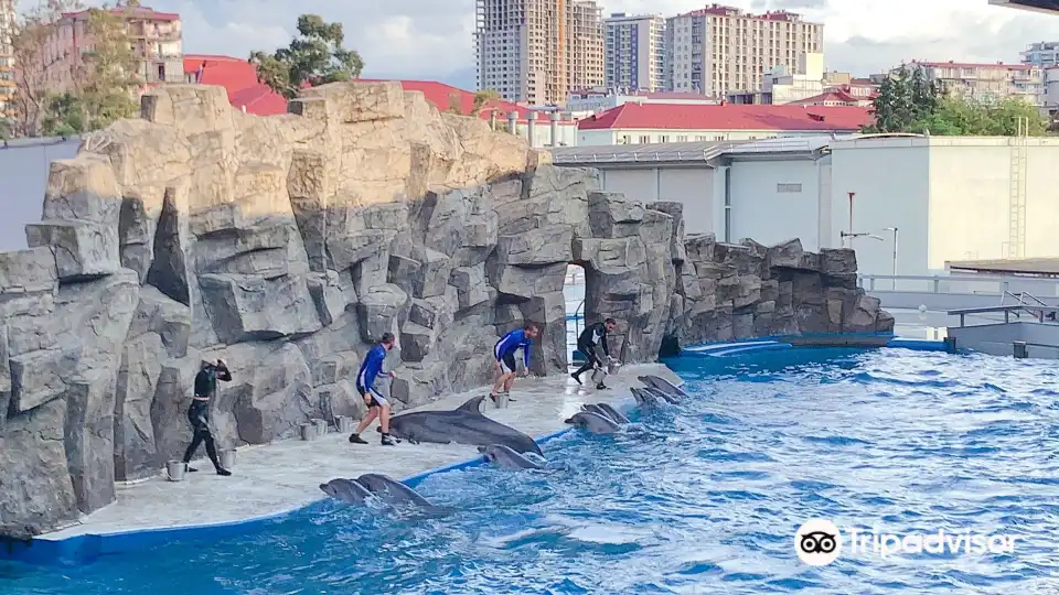 5_Batumi Dolphinarium