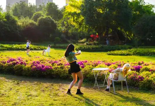 鄰近熊婆婆的花園的酒店