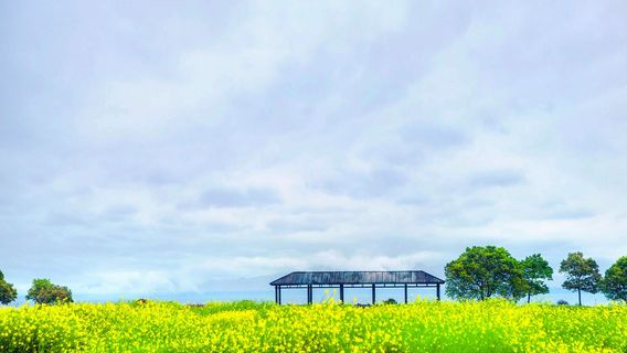 Dianshan Lake Scenic Spot
