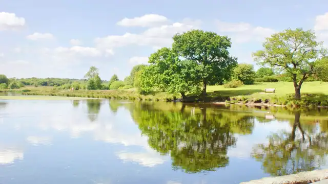 Hotels near Sutton Park