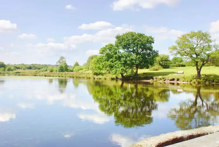 Hotels in Sutton Coldfield