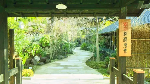 하코네 유료 온천 attraction in 하코네