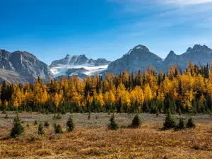 Popular Fall Viewing Attractions in Banff