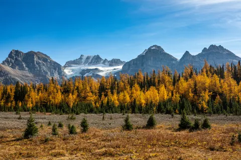 Parco nazionale Banff