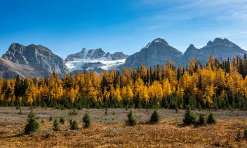 Banff National Park