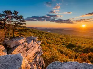 Annapolis Rock Vista