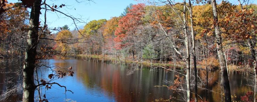 Woodlock Recreation Area