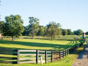 Country Belle Farms