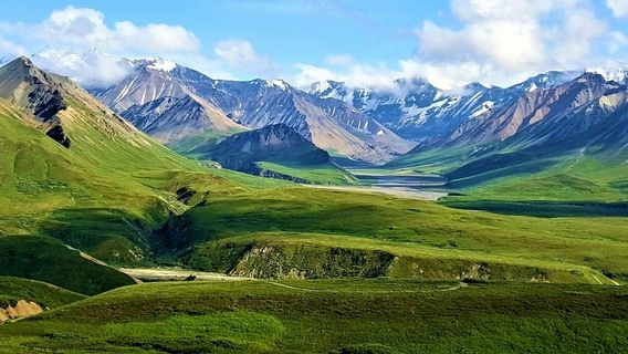 Denali