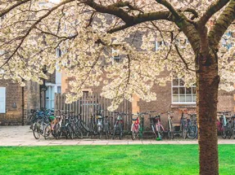 University of Cambridge