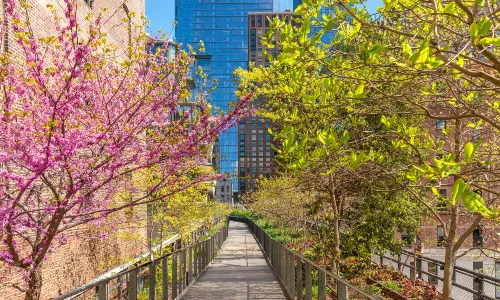 High Line