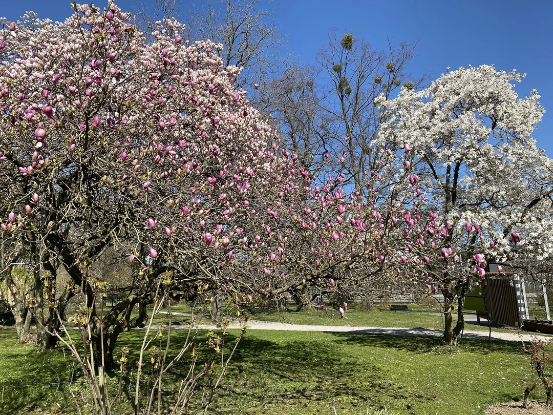 5_Conservatory and Botanical Garden of Geneva