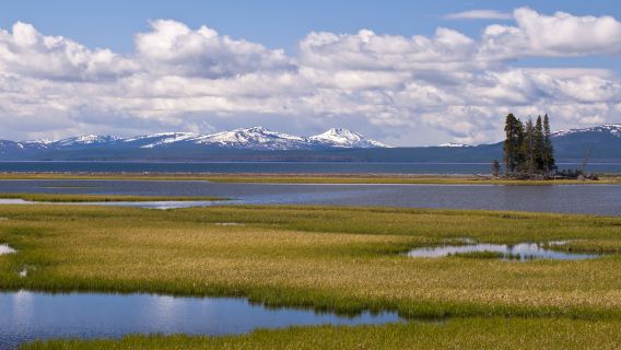 Yellowstone Lake