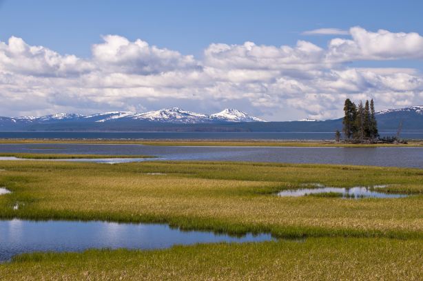 Yellowstone Lake
