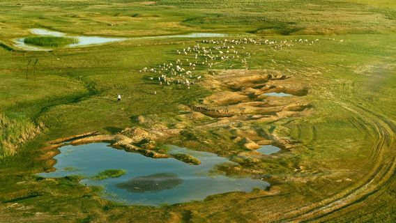 Longtouguai Scenic Area