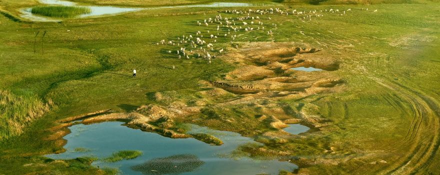 Longtouguai Scenic Area