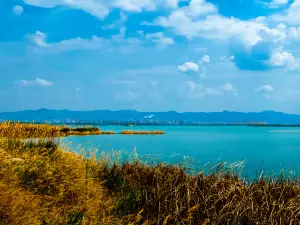 Nanhai Wetland Scenic Area