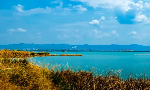 Nanhai Wetland Scenic Area