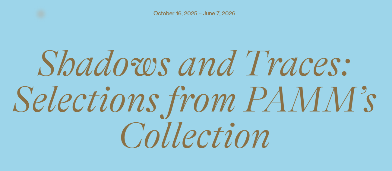 Sbadows and Traces: Selections from PAMM's Collection | Pérez Art Museum Miami