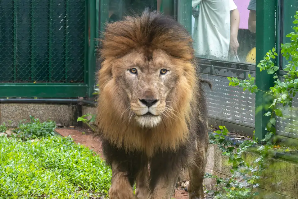5_Guangzhou Zoo