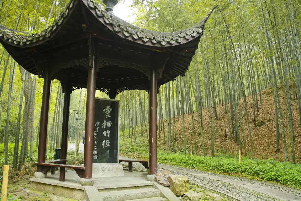 2_Bamboo-Lined Path at Yunqi