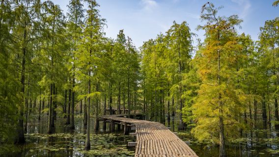 Chishan Lake National Wetland Park