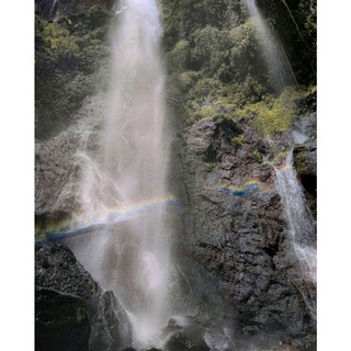Silawe waterfall is located on the south from Sumbing Mountain, exactly at Kopeng Kulon, Sutopati village, Kajoran, Magelang. The height of its location of this waterfall is 500 meters above the sea level, while the height of its waterfall is approximately 60 meters. Silawe waterfall is actually a new site, thus its natural beauty seems so natural. Even though the track to reach this waterfall is quite narrow, but you will get the greeny view that will energize your eyes. Besides the various kind of trees, the green rice field also adds the stunning view during the trip.
This lovely waterfall will be your right place to spend your holiday with beloved ones. Before entering the waterfall complex, you will see many pine trees forest that surround the waterfall. Besides, you can see the small pond of the waterfall that makes you feel the freshness of the water. The sound of its waterfall will bring you solace to unwind the hectic days before. You are able to make yourself wet and having a clear idea how clear and fresh the water is. Enjoying the nuance while playing with the ones you are with will create another best holiday you have ever had.
#summervacation#hikingtrails#urbanexplorer