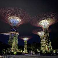 The GARDEN BY THE BAY