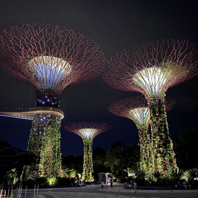 The GARDEN BY THE BAY