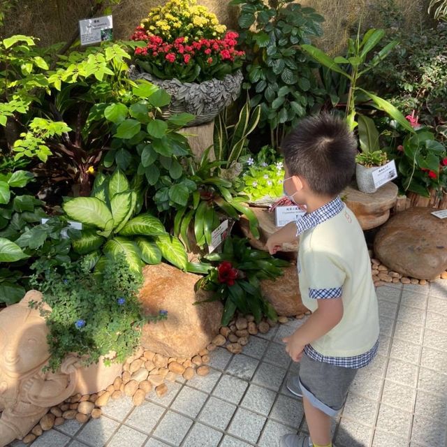 【 充滿兒時回憶的公園 】香港公園