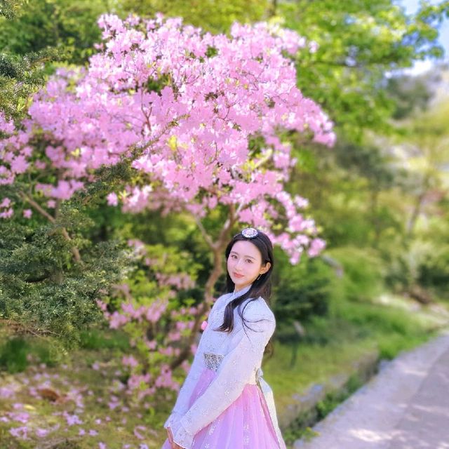 창덕궁 후원 관람