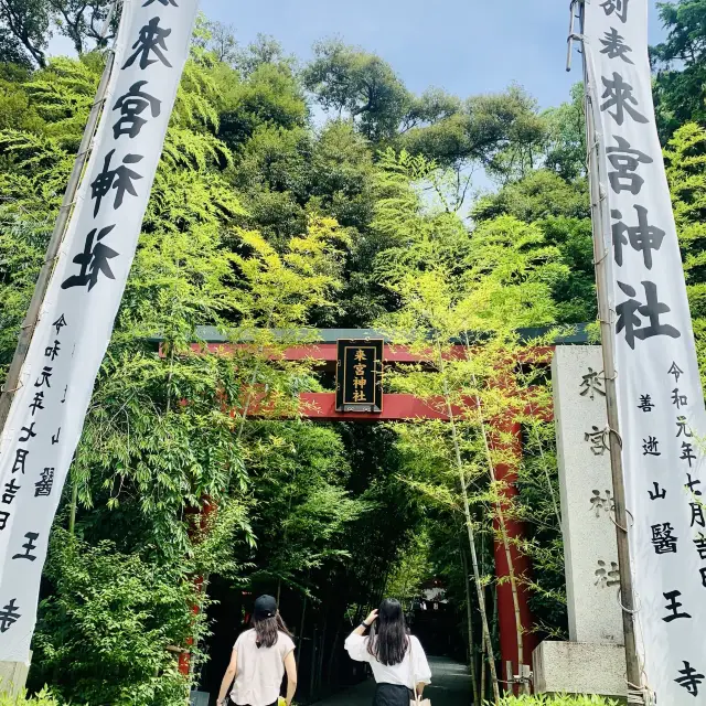 【熱海】来宮神社