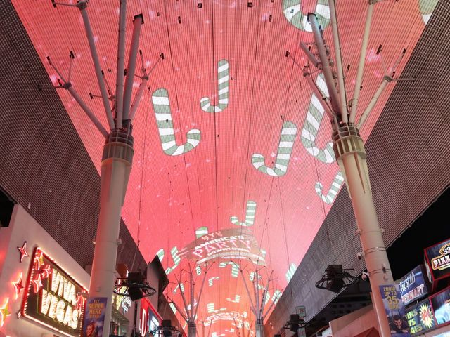 [라스베가스의 집라인&전구쇼쇼쇼]