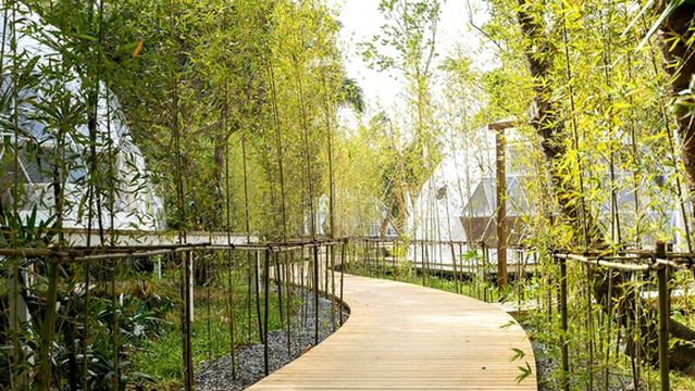 Glamping Hygge Hill 山野森活