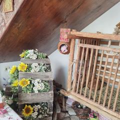 Chumacky Shlyah張用戶圖片