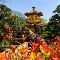 Quiet Paradise in the heart of Hong Kong