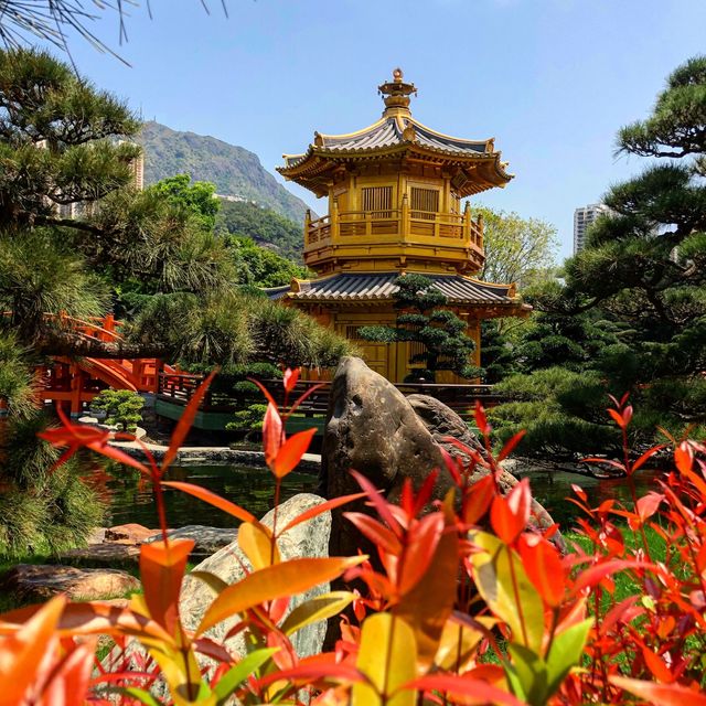 Quiet Paradise in the heart of Hong Kong