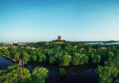 Longshan Park (Northeast Gate)