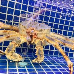 必點海鮮·鮁魚水餃（濱江道店）張用戶圖片
