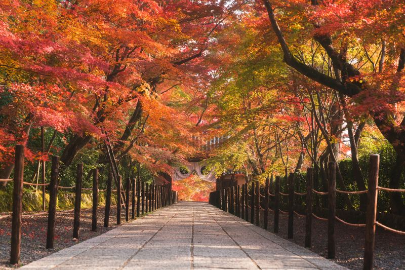 Komyo-ji Temple