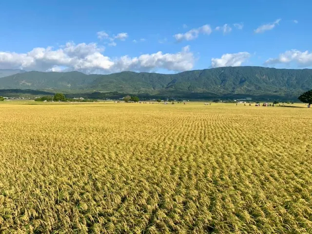 【台東輕旅行】IG超夯景點網紅拍照地，刷爆朋友圈的TOP10