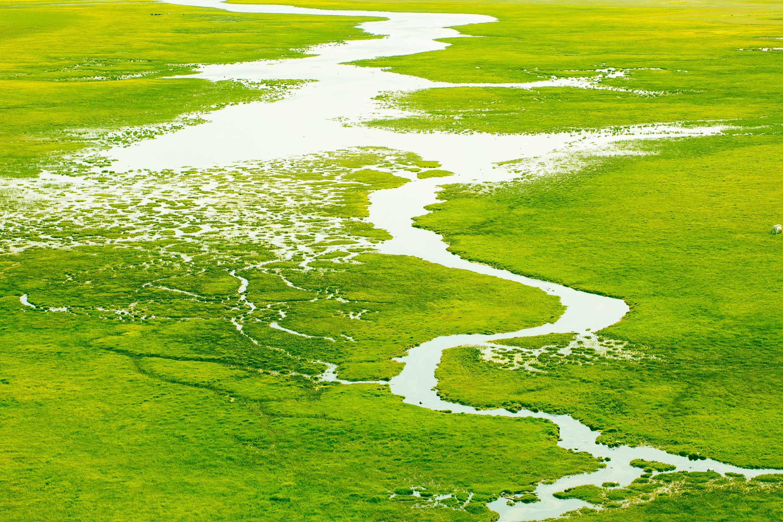 2025 Bayanbulak Grassland Travel Guide: Must-see attractions, popular food, hotels, transportation routes (updated in June)