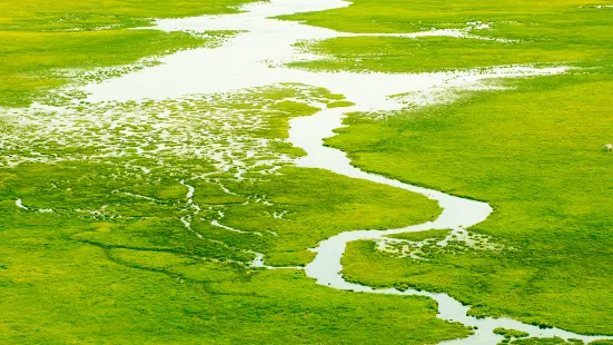 Bayanbulak Grassland